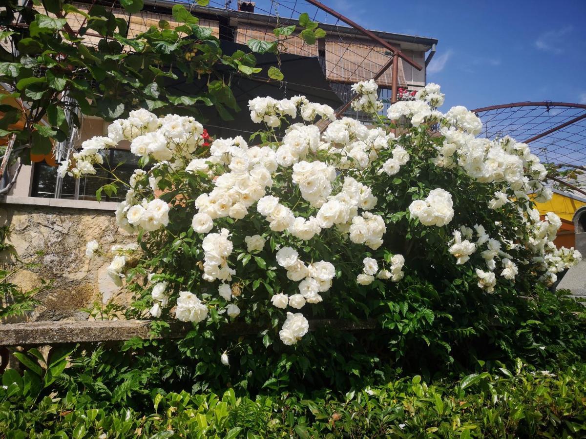 Apartamento Familija Cvitkovic Funtana Exterior foto